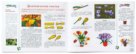 Проснякова Т.Н. «Цветы». Энциклопедия технологий прикладного творчества