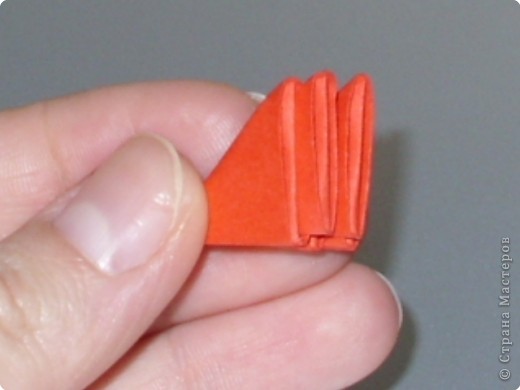 Мастер-класс,  Оригами модульное, : МК на изготовление попугайчика Бумага . Фото 39