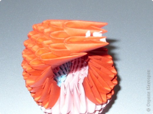 Мастер-класс,  Оригами модульное, : МК на изготовление попугайчика Бумага . Фото 36