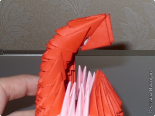 Мастер-класс,  Оригами модульное, : МК на изготовление попугайчика Бумага . Фото 42