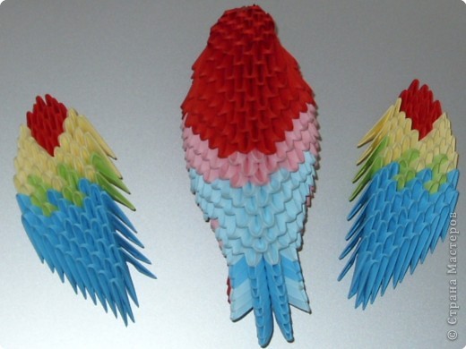 Мастер-класс,  Оригами модульное, : МК на изготовление попугайчика Бумага . Фото 75