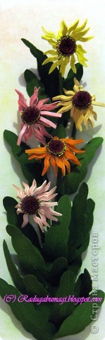 ��������: ��� �������� ��