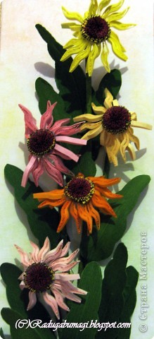 ��������: ��� �������� ��