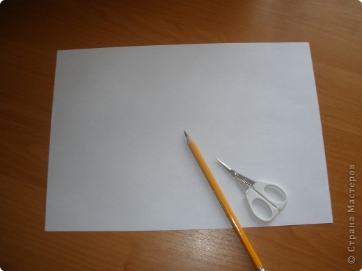 ���������: ��������