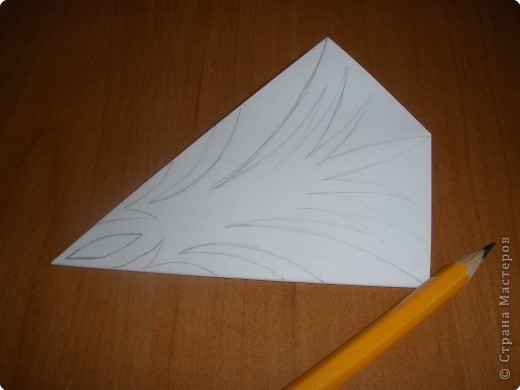 ���������: ��������