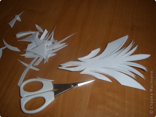 ���������: ��������