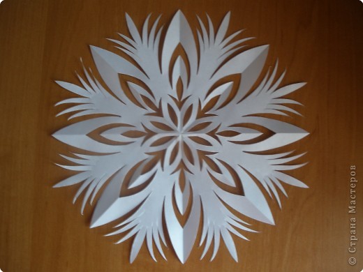 ���������: ��������