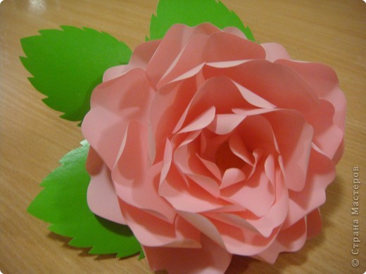 Бумагопластика: Мк. Роза из ксероксной бумаги
