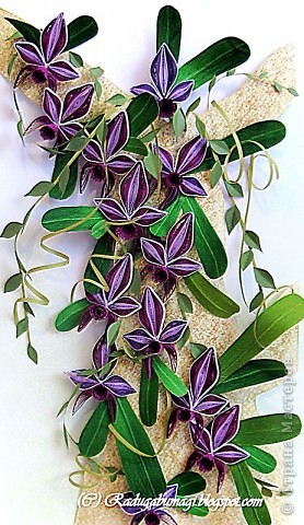 Квиллинг: Каттлея (лат. Cattleya) — семейство Орхидные. Фото 1