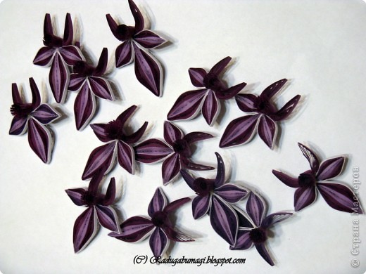 Квиллинг: Каттлея (лат. Cattleya) — семейство Орхидные. Фото 8