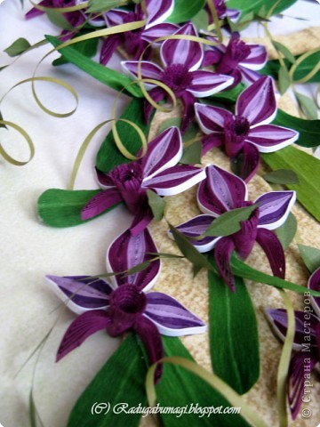 Квиллинг: Каттлея (лат. Cattleya) — семейство Орхидные. Фото 16