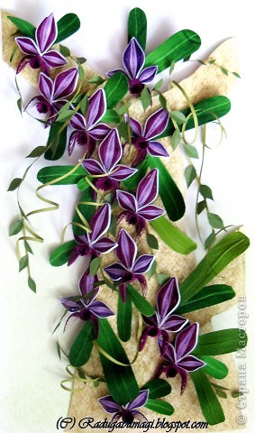 Квиллинг: Каттлея (лат. Cattleya) — семейство Орхидные. Фото 17