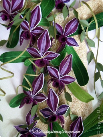 Квиллинг: Каттлея (лат. Cattleya) — семейство Орхидные. Фото 19