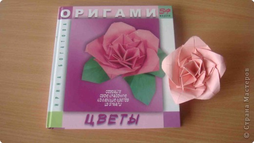 Мастер-класс Оригами: Цветок (Роза?) МК Бумага. Фото 14 Мастер-класс Оригами: Цветок (Роза?) МК Бумага. Фото 14