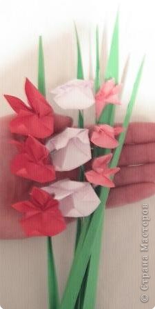  ������-�����, �������, ������� �������: ���������� � ���������. ������ 8 �����. ���� 41