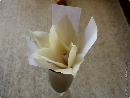 Мастер-класс Лепка: МК как сделать лилию Фарфор холодный. Фото 16
