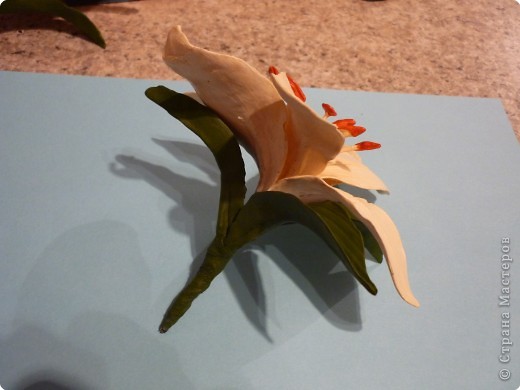 Мастер-класс Лепка: МК как сделать лилию Фарфор холодный. Фото 19