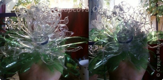 Поделка, изделие Моделирование: Новые цветы из пластиковых бутылок Бутылки. Фото 1