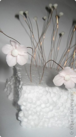 Мастер-класс Лепка: Цветущий бонсай.МК Фарфор холодный. Фото 2