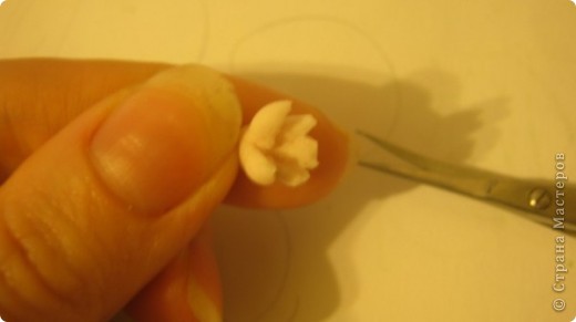 Мастер-класс Лепка: Цветущий бонсай.МК Фарфор холодный. Фото 4