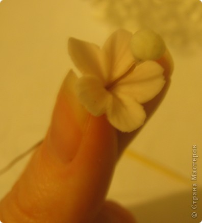 Мастер-класс Лепка: Цветущий бонсай.МК Фарфор холодный. Фото 8