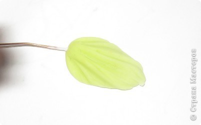 Мастер-класс Лепка: Цветущий бонсай.МК Фарфор холодный. Фото 12