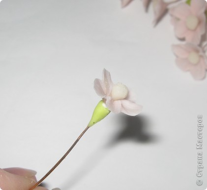 Мастер-класс Лепка: Цветущий бонсай.МК Фарфор холодный. Фото 13