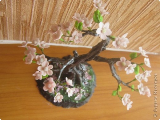 Мастер-класс Лепка: Цветущий бонсай.МК Фарфор холодный. Фото 15
