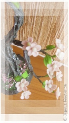 Мастер-класс Лепка: Цветущий бонсай.МК Фарфор холодный. Фото 16