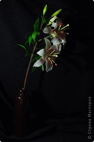 Ещё одна лилия.. Фото 3