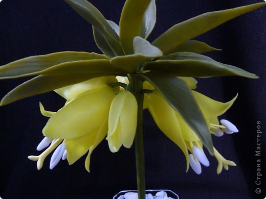 Вот рябчики я люблю, чего не могу сказать об орхидее! Поэтому лепила их с огромным удовольствием! Не совершенство конечно, зато есть к чему стремиться.. Фото 15