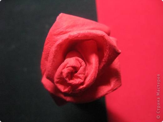 Мастер-класс, Фоторепортаж,  Моделирование, : Поиграем с цветом. Продолжение МК "розы из бумажных салфеток" Салфетки . Фото 17