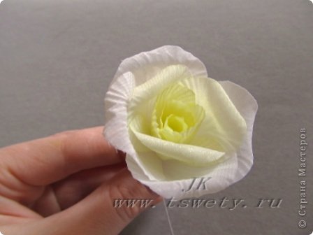 Мастер-класс цветы из ткани.<br /> Белая роза без специальных инструментов. Гофрированная.. Фото 29