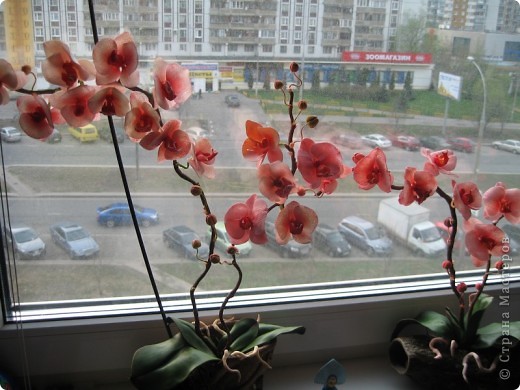 Поделка, изделие Лепка: без комментариев... Фарфор холодный. Фото 8 Поделка, изделие Лепка: без комментариев... Фарфор холодный. Фото 8