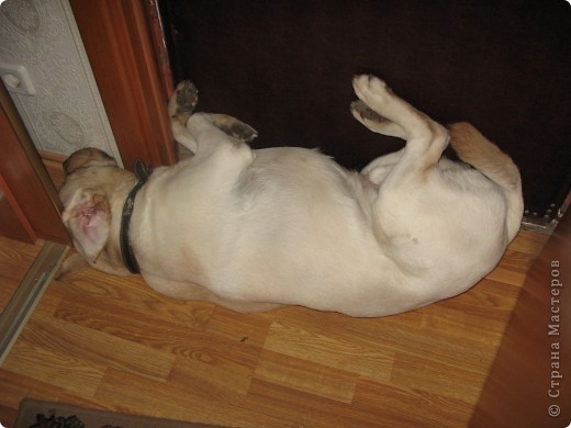  ��������� � ����������� �������: � � �������� - ������� ��������� 3 ����� - �������������� �����. ���� 10