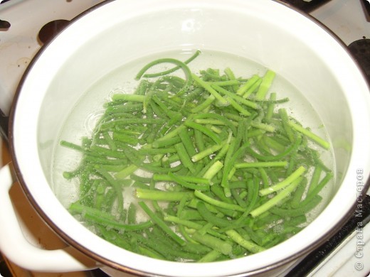 Кулинария, Мастер-класс Рецепт кулинарный: Чесночные стрелки для любителей чесночка!( Блюдо на любителя) Продукты пищевые Отдых. Фото 7 Кулинария, Мастер-класс Рецепт кулинарный: Чесночные стрелки для любителей чесночка!( Блюдо на любителя) Продукты пищевые Отдых. Фото 7