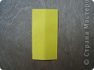  - : Confetti.   .  8