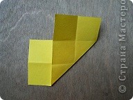  - : Confetti.   .  11