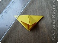  - : Confetti.   .  19