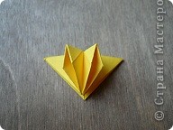  - : Confetti.   .  22