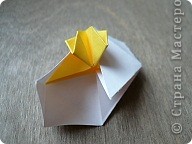  - : Confetti.   .  23