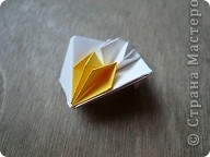  - : Confetti.   .  24