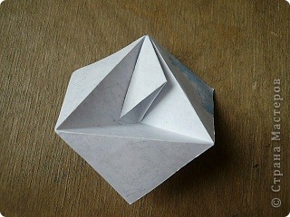  ������-����� ��������: Tea Vanilla. ��������. ������. ���� 20