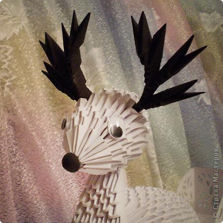  ������-����� ������� ���������: �������� �����  ������. ���� 19