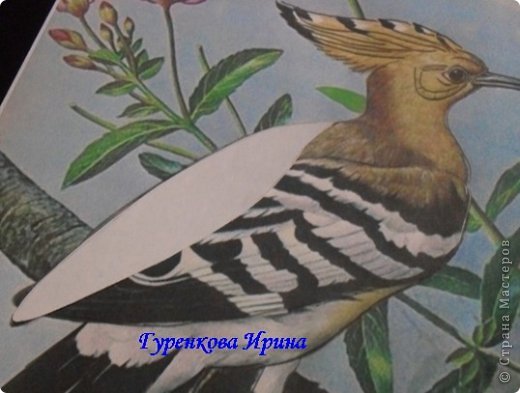  �������, �����, �������, ������-����� ��������������: ���� ������. ���� 6