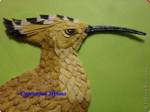  �������, �����, �������, ������-����� ��������������: ���� ������. ���� 10