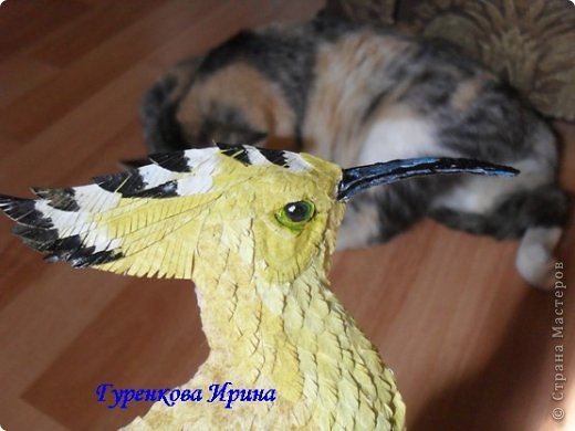  �������, �����, �������, ������-����� ��������������: ���� ������. ���� 11