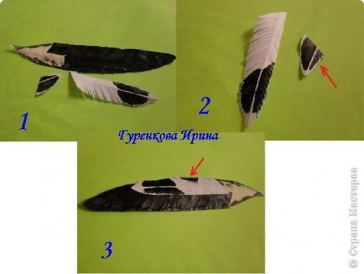  �������, �����, �������, ������-����� ��������������: ���� ������. ���� 13