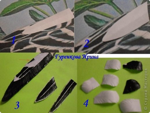  �������, �����, �������, ������-����� ��������������: ���� ������. ���� 14