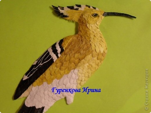  �������, �����, �������, ������-����� ��������������: ���� ������. ���� 15